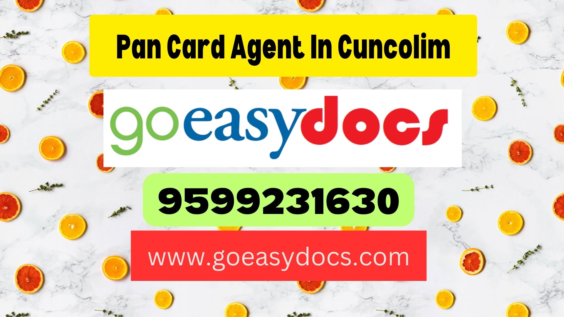 Pan Card Agent Consultant in Cuncolim 8851415812