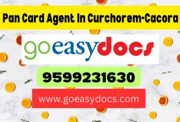 Pan Card Agent Consultant in Curchorem-Cacora 8851415812