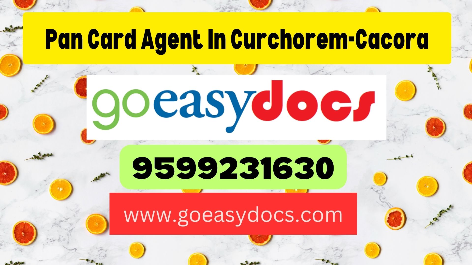 Pan Card Agent Consultant in Curchorem-Cacora 8851415812