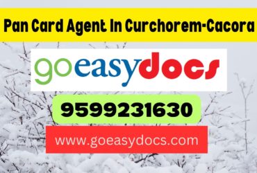 Pan Card Agent Consultant in Curti 8851415812