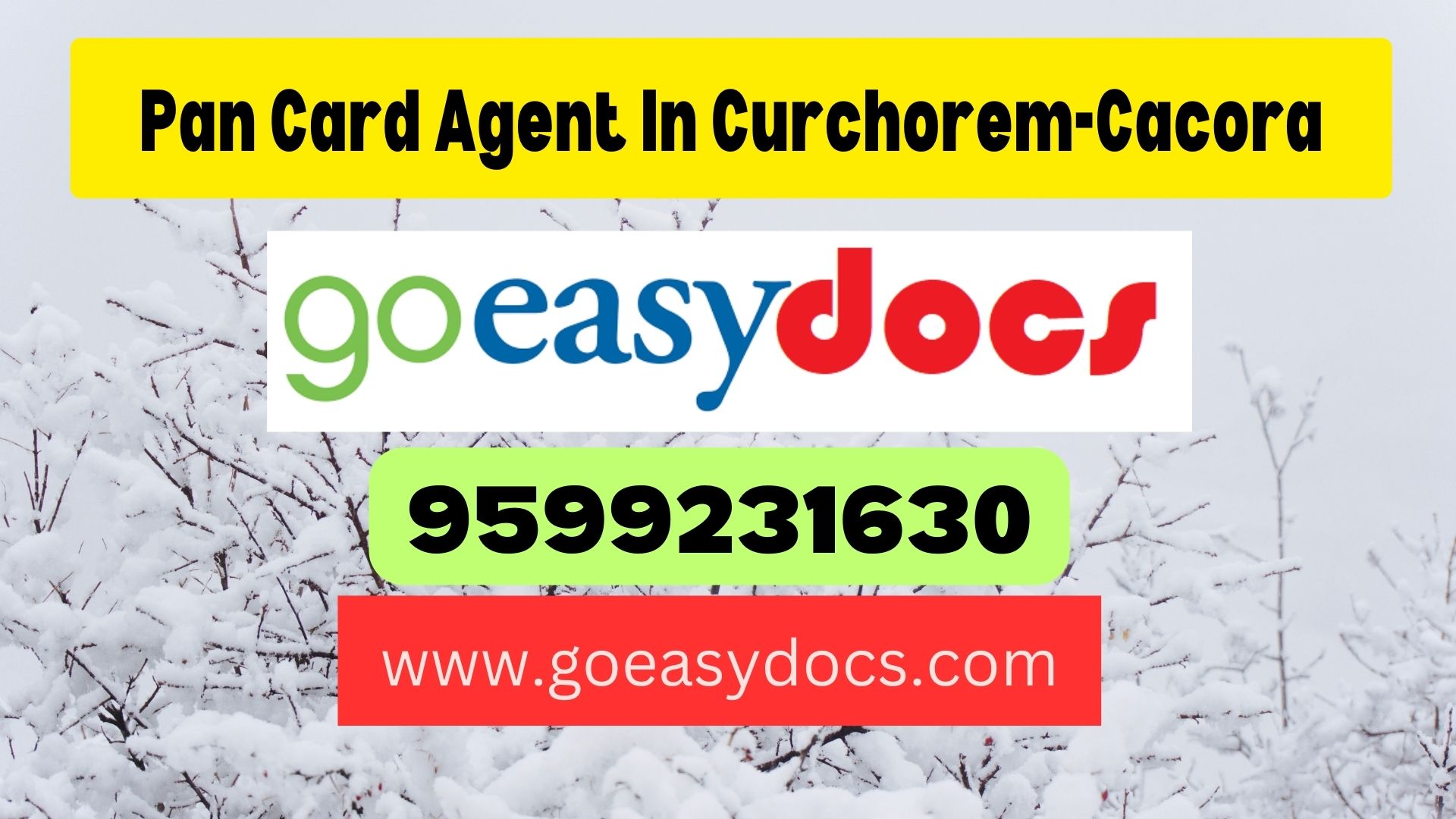 Pan Card Agent Consultant in Curti 8851415812