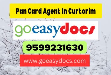 Pan Card Agent Consultant in Curtorim 8851415812