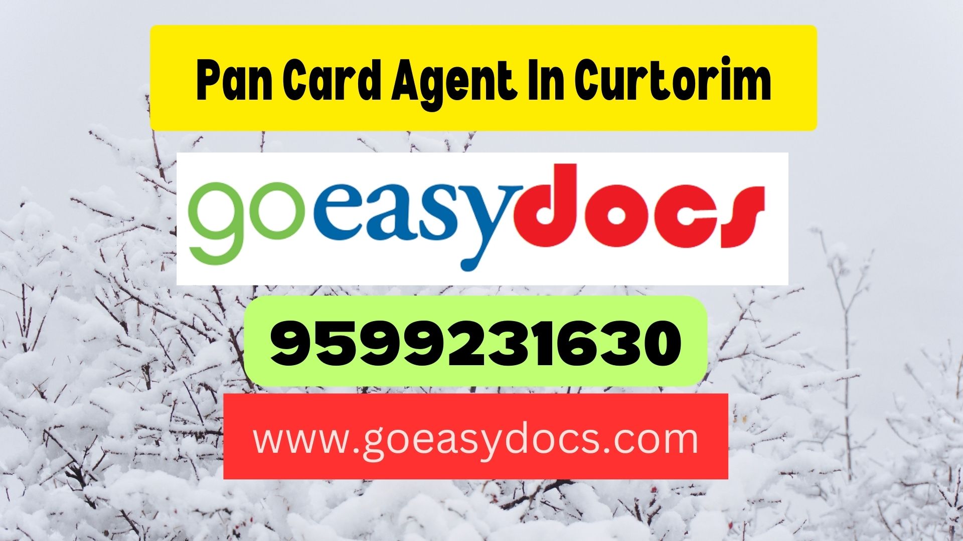 Pan Card Agent Consultant in Curtorim 8851415812