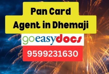 Pan Card Agent Consultant in Dhemaji  8851415812