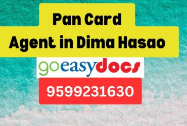 Pan Card Agent Consultant in Dima Hasao  8851415812