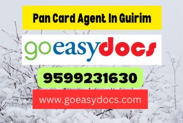 Pan Card Agent Consultant in Guirim 8851415812