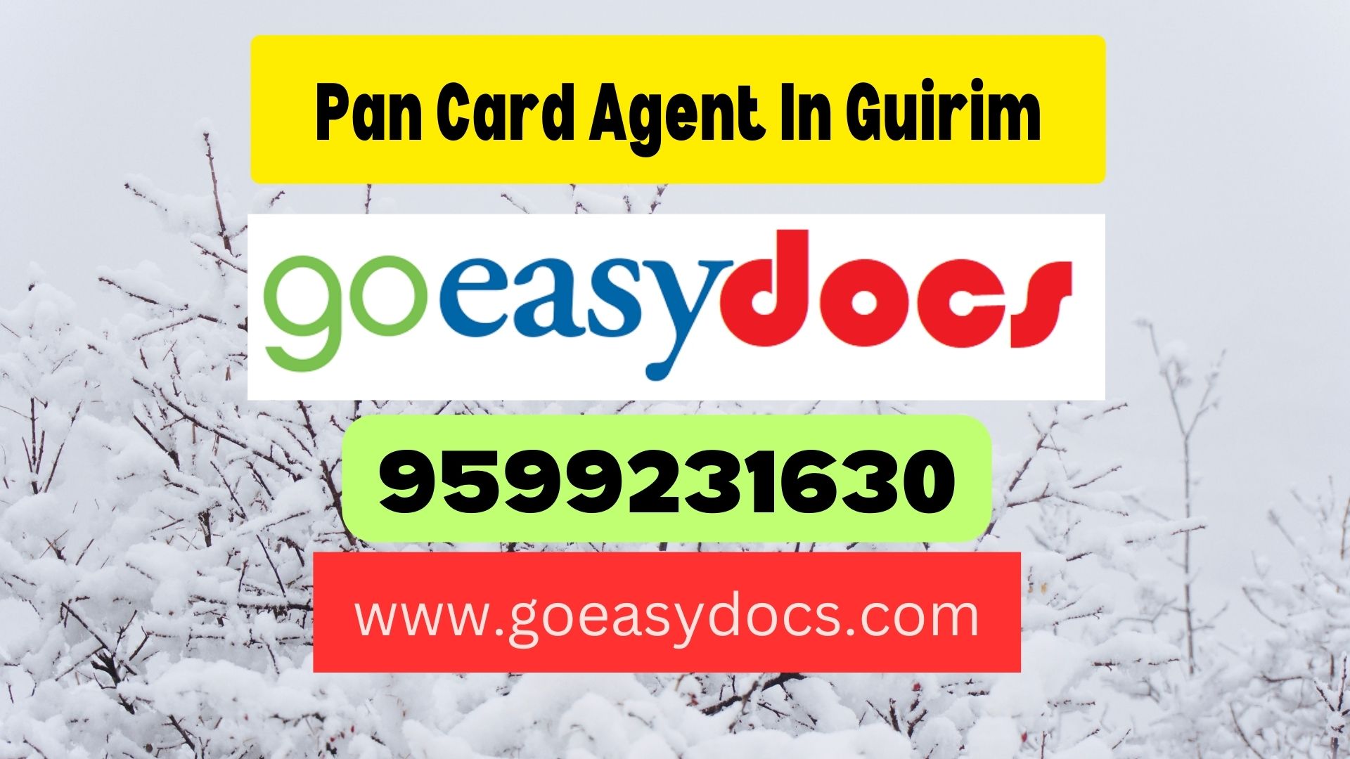 Pan Card Agent Consultant in Guirim 8851415812