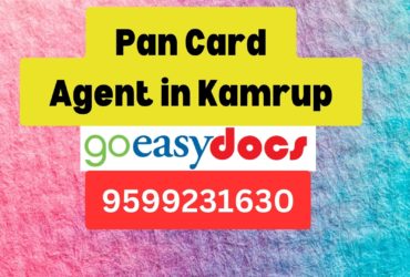 Pan Card Agent Consultant in Kamrup  8851415812