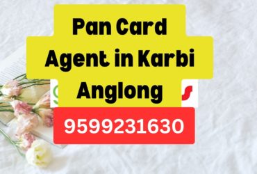 Pan Card Agent Consultant in Karbi Anglong  8851415812