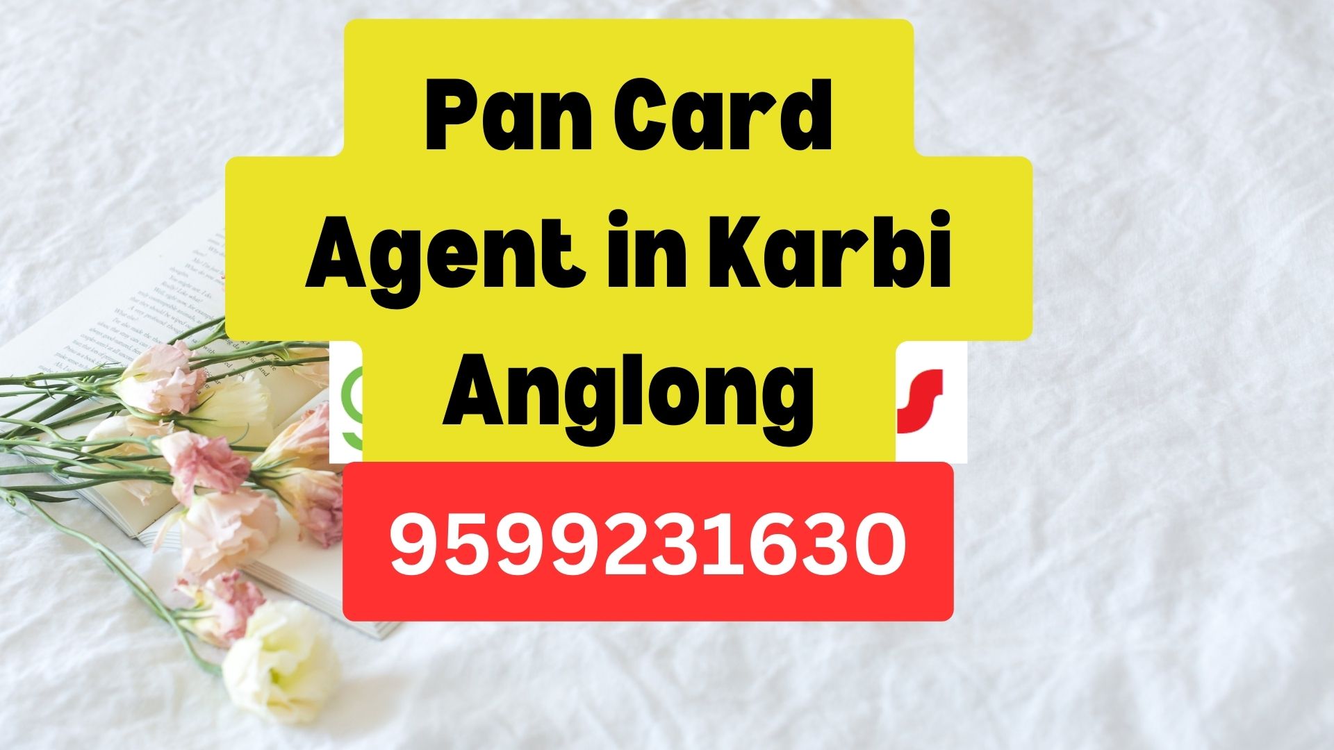 Pan Card Agent Consultant in Karbi Anglong  8851415812