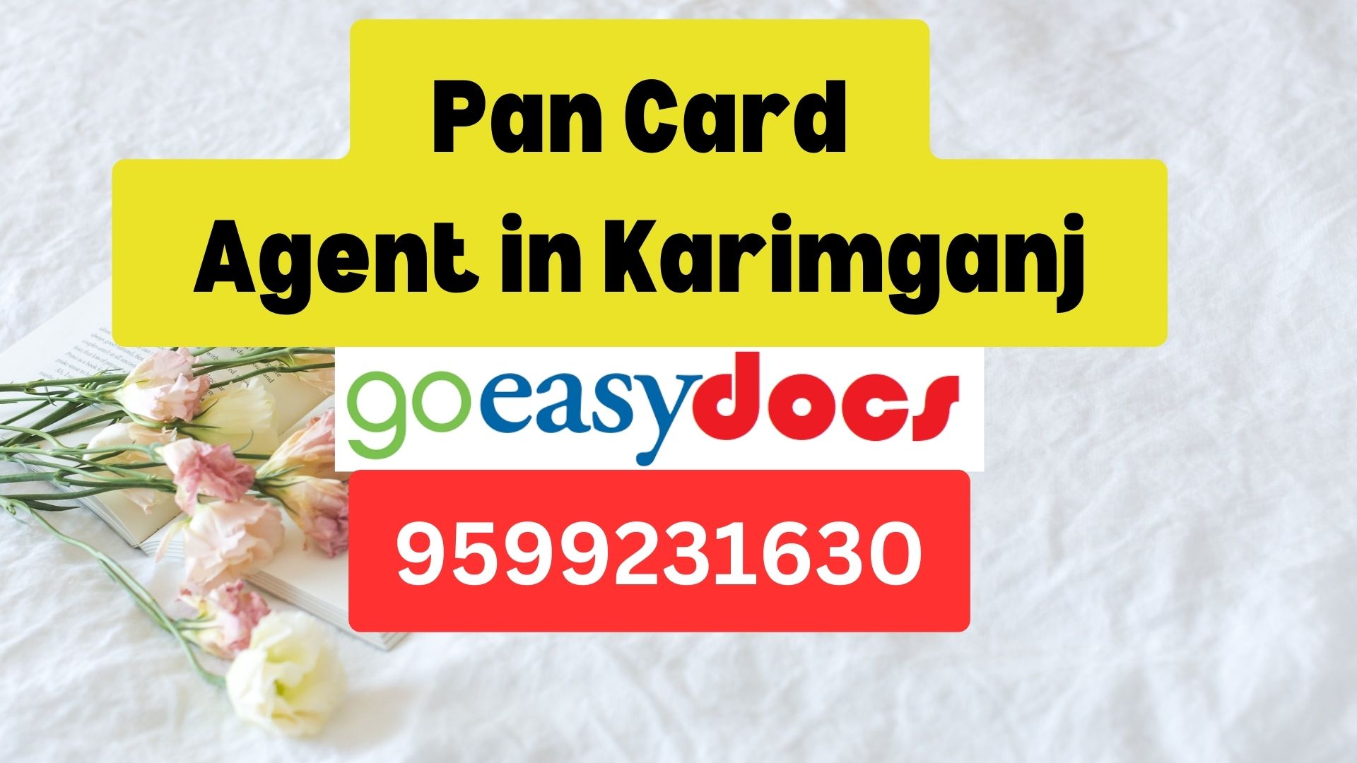 Pan Card Agent Consultant in Karimganj  8851415812