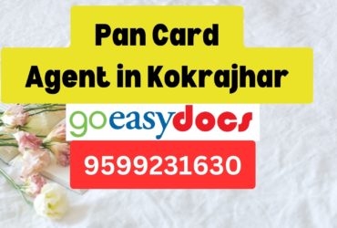 Pan Card Agent Consultant in Kokrajhar  8851415812