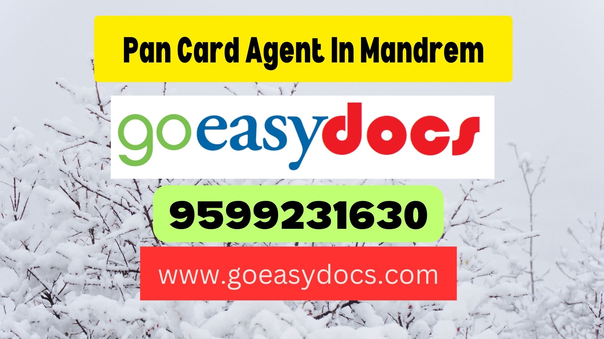 Pan Card Agent Consultant in Mandrem 8851415812