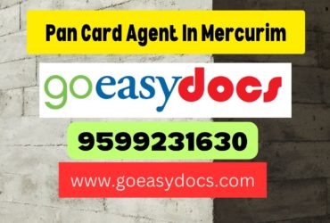 Pan Card Agent Consultant in Mercurim 8851415812