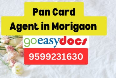 Pan Card Agent Consultant in Morigaon (Marigaon)  8851415812