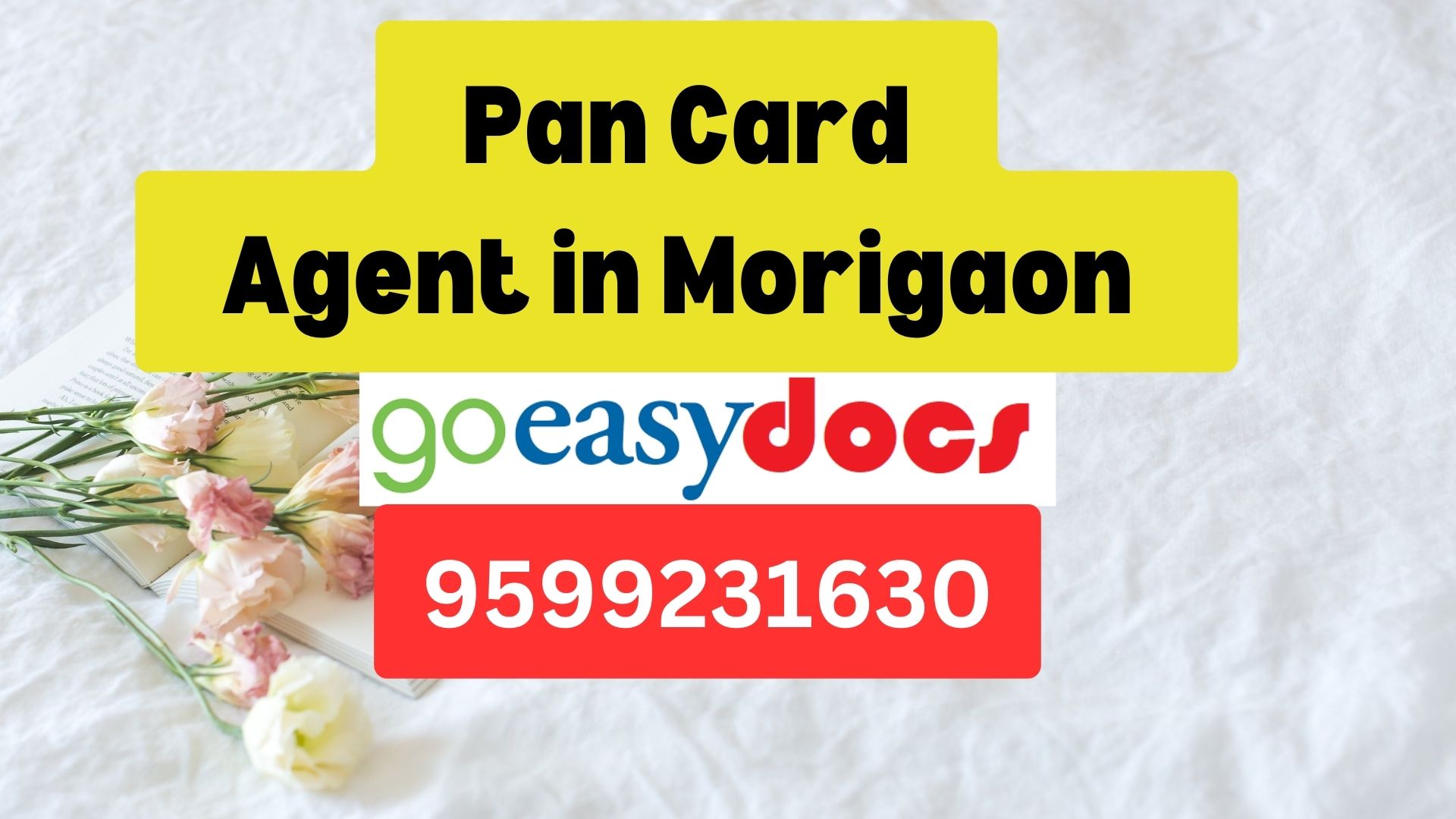 Pan Card Agent Consultant in Morigaon (Marigaon)  8851415812