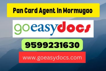 Pan Card Agent Consultant in Mormugao  8851415812