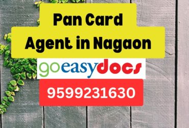 Pan Card Agent Consultant in Nagaon  8851415812