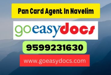 Pan Card Agent Consultant in Navelim 8851415812