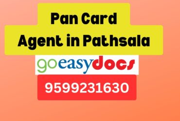 Pan Card Agent Consultant in Pathsala  8851415812