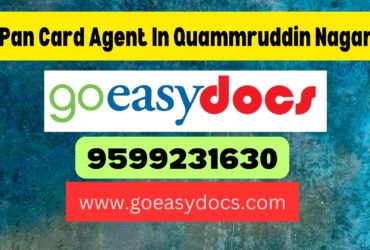 Pan Card Agent Consultant in Quammruddin Nagar 8851415812