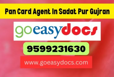 Pan Card Agent Consultant in Sadat Pur Gujran 8851415812