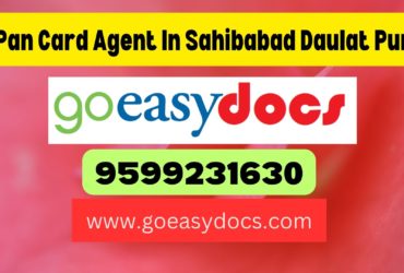 Pan Card Agent Consultant in Sahibabad Daulat Pur 8851415812