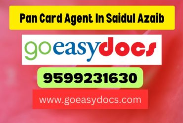 Pan Card Agent Consultant in Saidul Azaib 8851415812