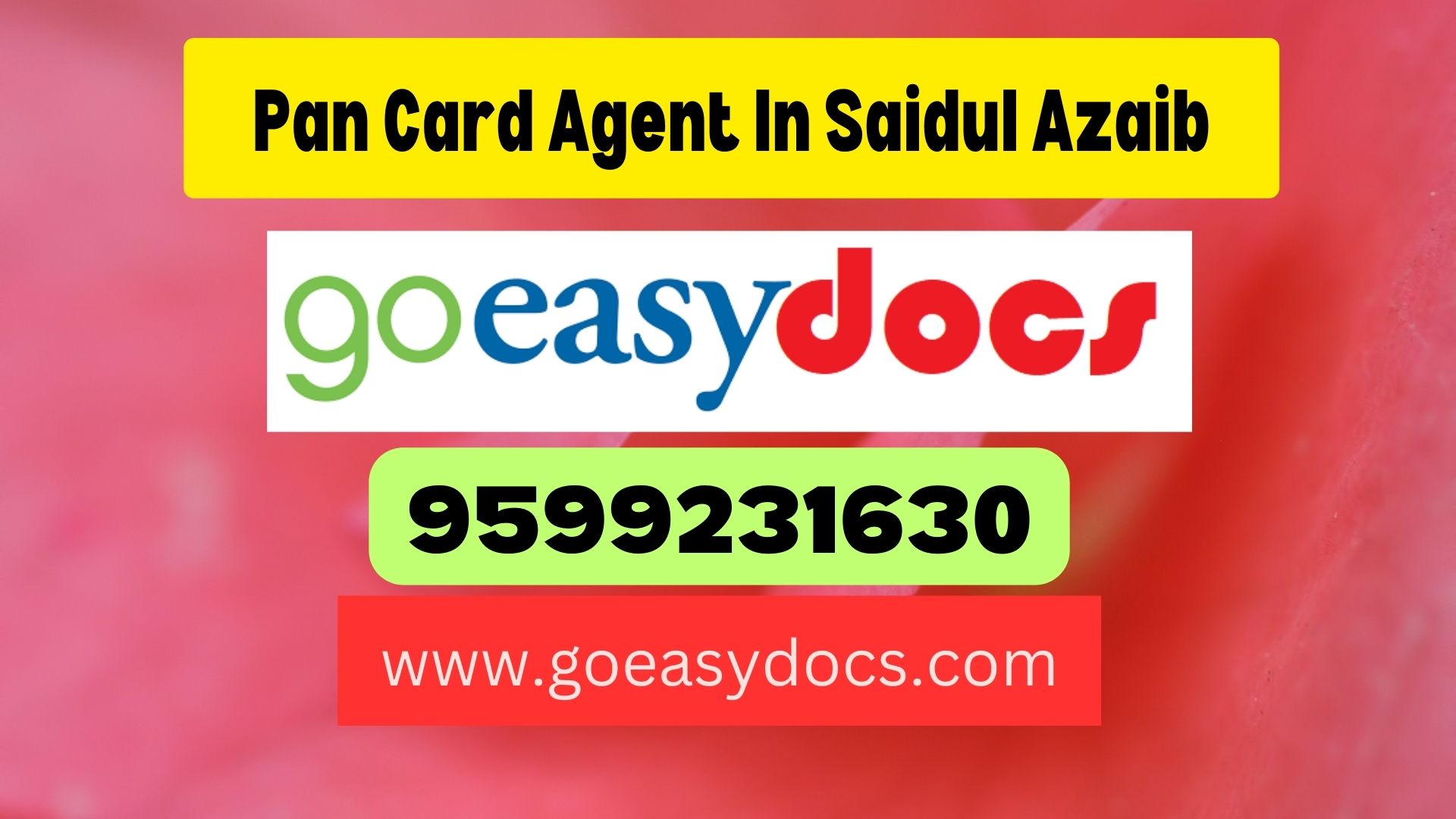 Pan Card Agent Consultant in Saidul Azaib 8851415812