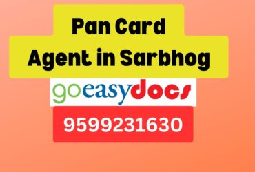 Pan Card Agent Consultant in Sarbhog  8851415812