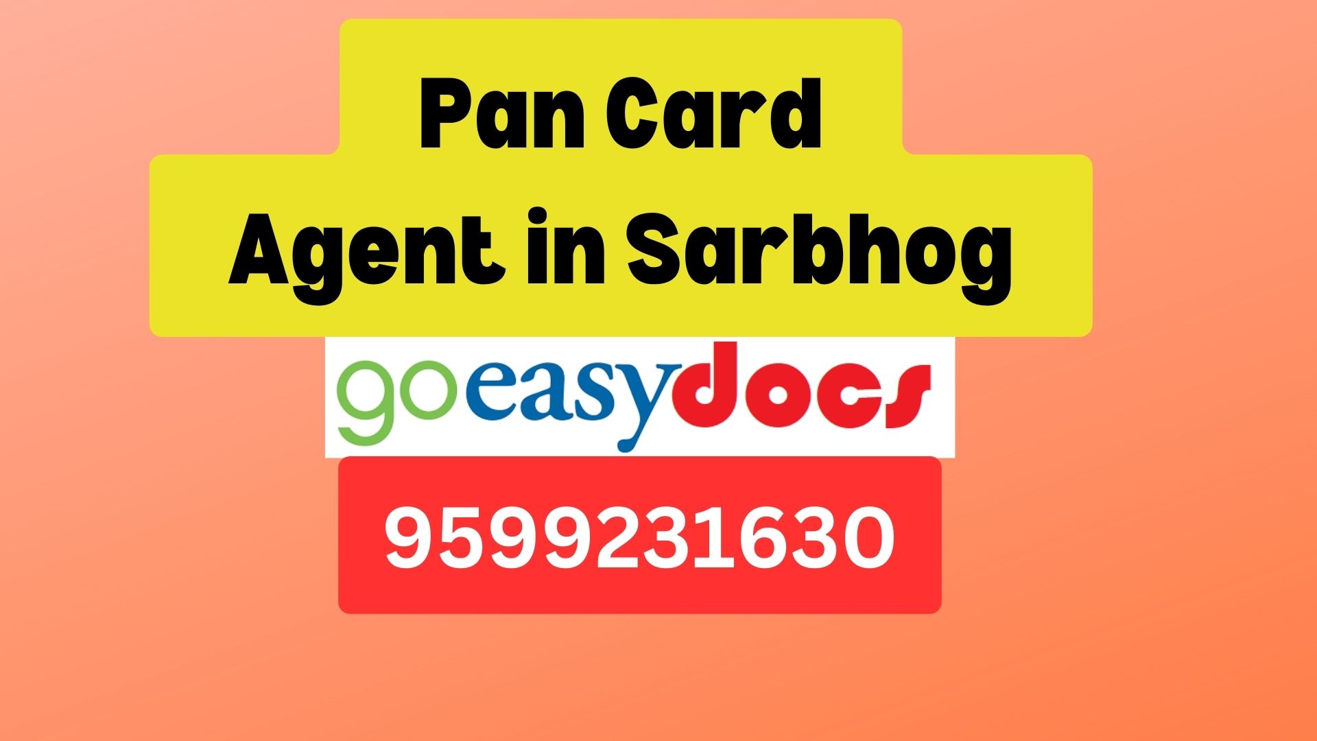 Pan Card Agent Consultant in Sarbhog  8851415812