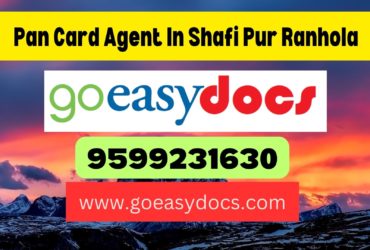 Pan Card Agent Consultant in Shafi Pur Ranhola 8851415812