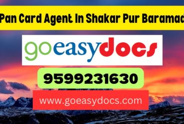 Pan Card Agent Consultant in Shakar Pur Baramad 8851415812