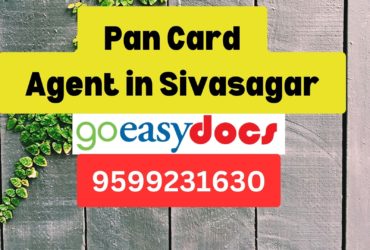 Pan Card Agent Consultant in Sivasagar  8851415812