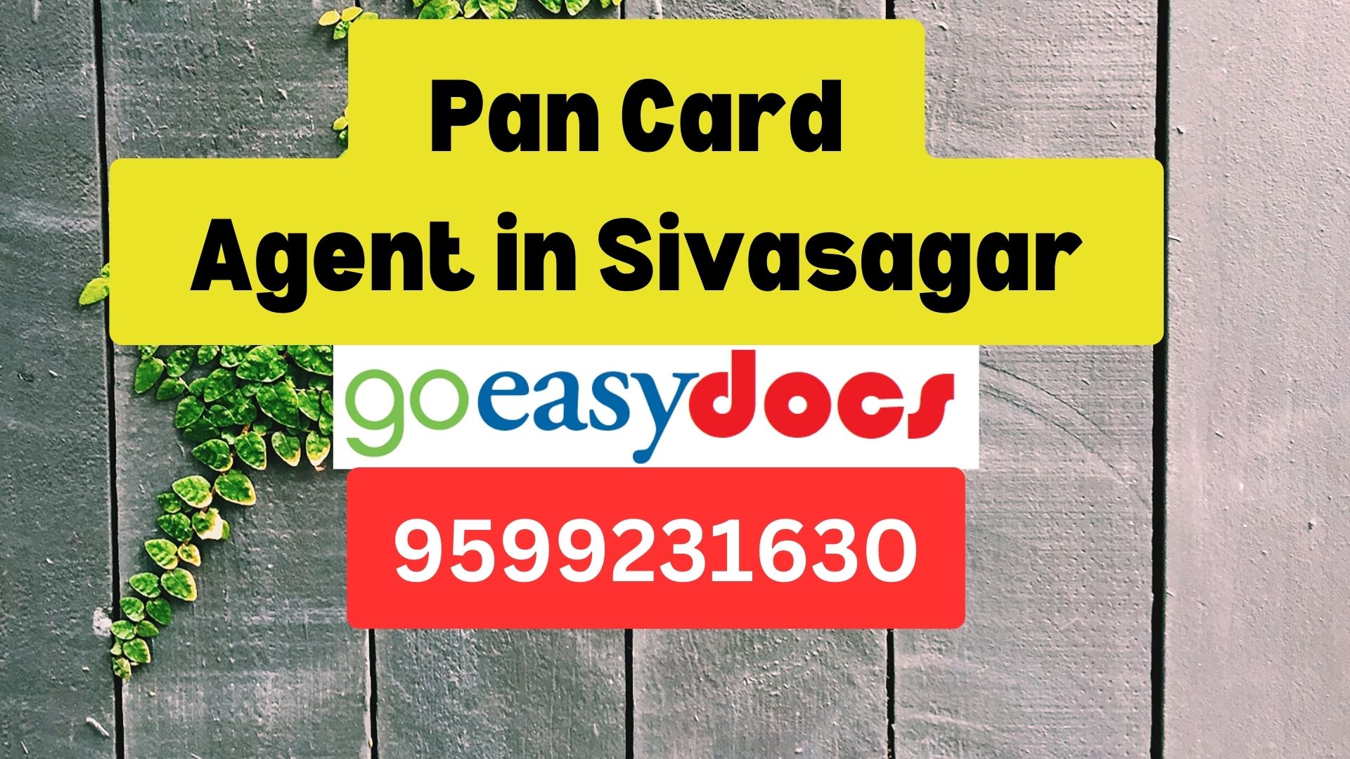 Pan Card Agent Consultant in Sivasagar  8851415812