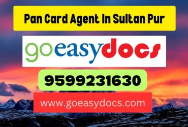 Pan Card Agent Consultant in Sultan Pur 8851415812