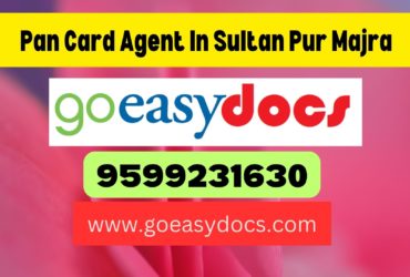 Pan Card Agent Consultant in Sultan Pur Majra 8851415812