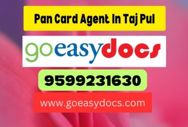 Pan Card Agent Consultant in Taj Pul 8851415812