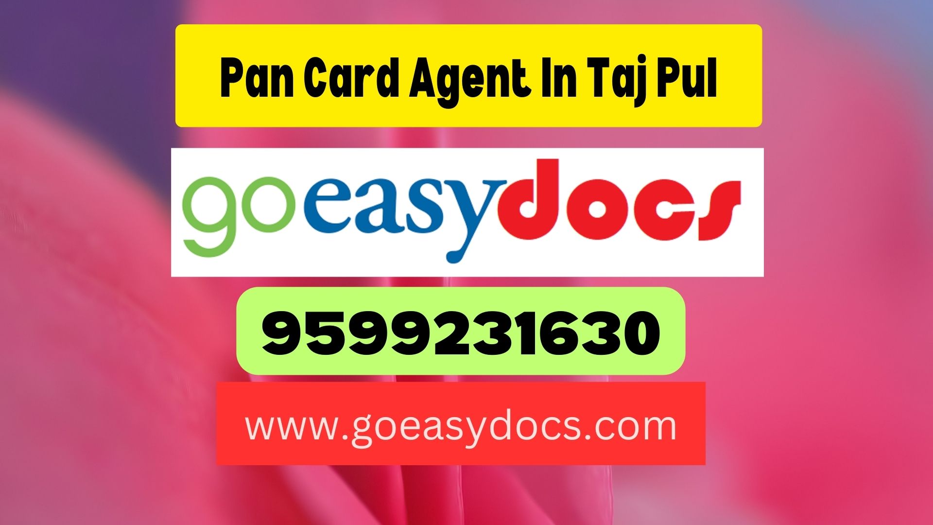 Pan Card Agent Consultant in Taj Pul 8851415812