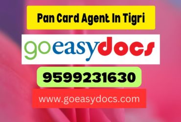 Pan Card Agent Consultant in Tigri 8851415812