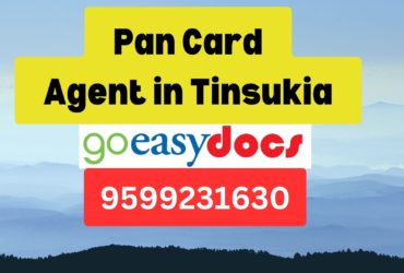 Pan Card Agent Consultant in Tinsukia  8851415812