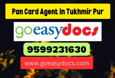 Pan Card Agent Consultant in Tukhmir Pur 8851415812