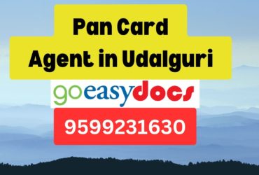 Pan Card Agent Consultant in Udalguri  8851415812