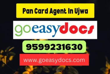 Pan Card Agent Consultant in Ujwa 8851415812