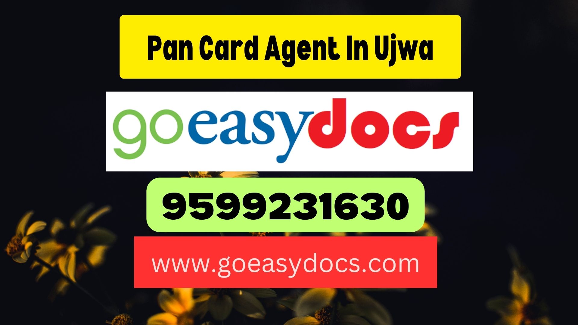 Pan Card Agent Consultant in Ujwa 8851415812