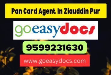 Pan Card Agent Consultant in Ziauddin Pur 8851415812