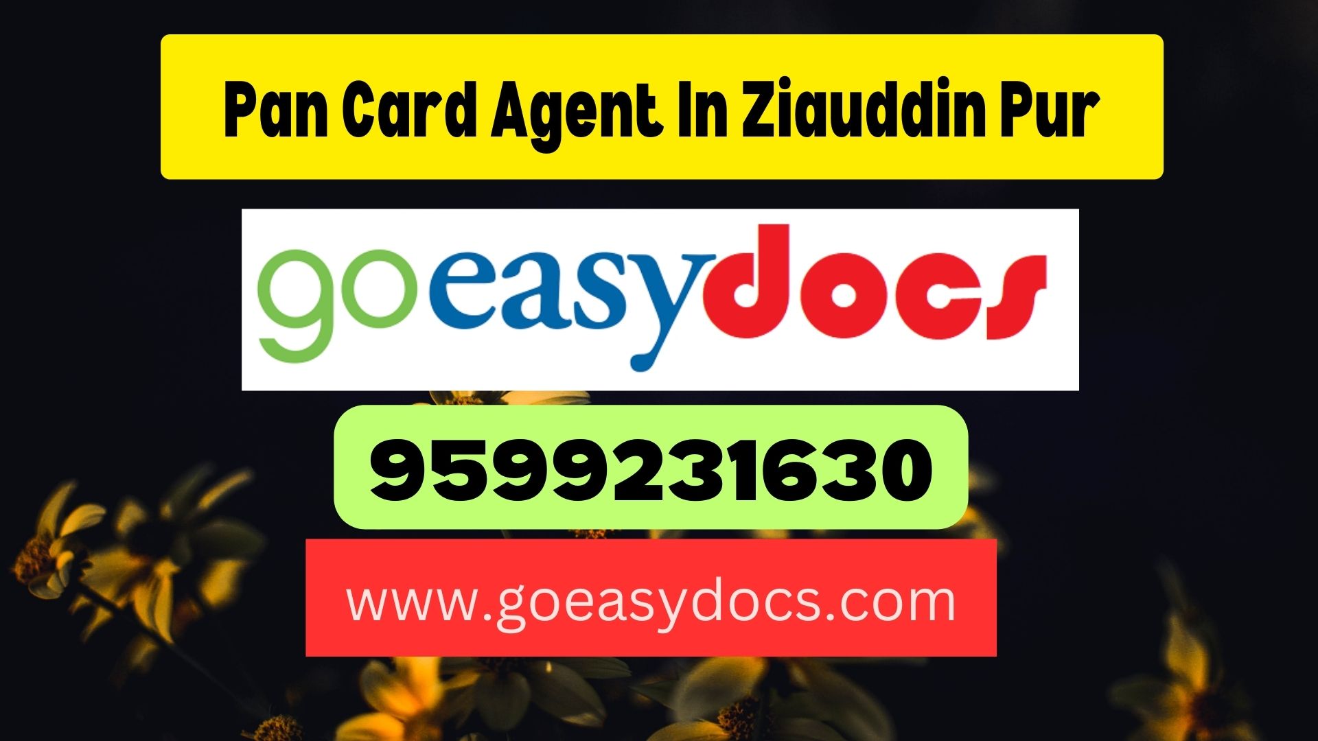 Pan Card Agent Consultant in Ziauddin Pur 8851415812