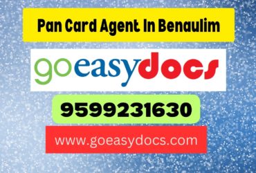 Pan Card Agent Consultant in Benaulim 8851415812