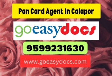 Pan Card Agent Consultant in Calapor 8851415812