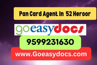 Pan Card Agent Consultant in 52 Heroor 8851415812